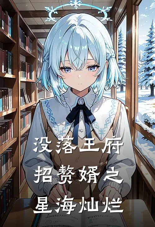 没落王府招赘婿之星海灿烂