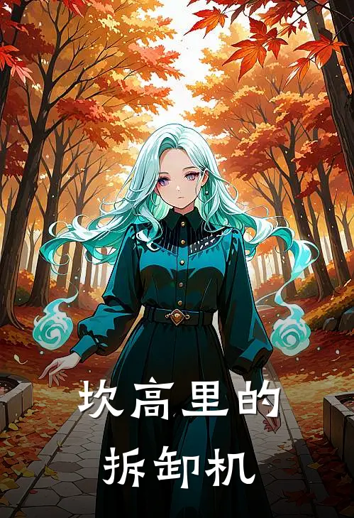 坎高里的拆卸机