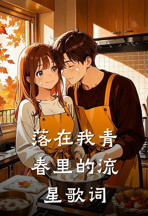 落在我青春里的流星歌词