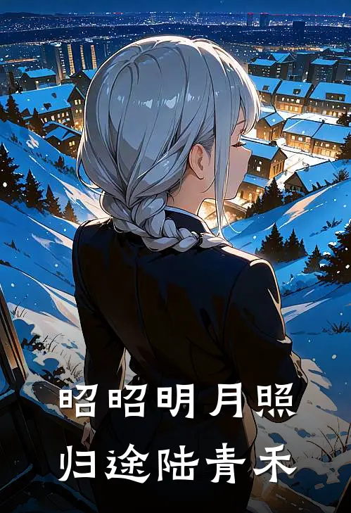 昭昭明月照归途陆青禾